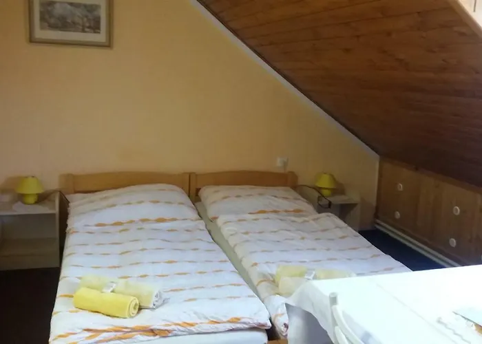 Guest house Dalmo Sedlec-Prcice